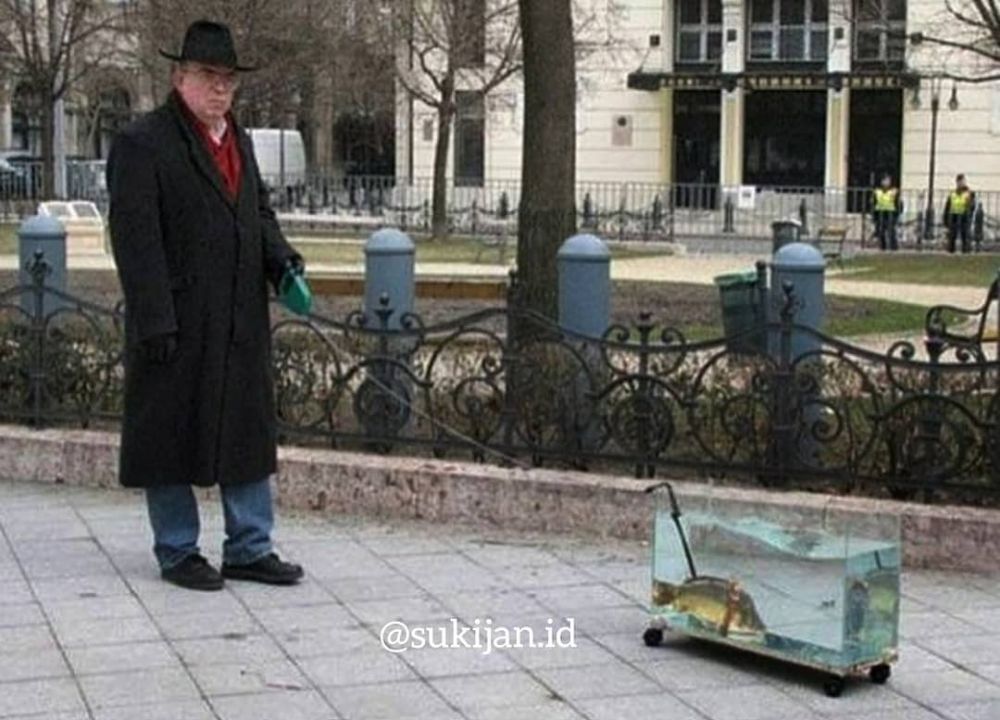 hewan diajak jalan ada-ada aja © berbagai sumber hewan diajak jalan ada-ada aja © berbagai sumber