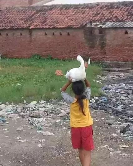 hewan diajak jalan ada-ada aja © berbagai sumber hewan diajak jalan ada-ada aja © berbagai sumber