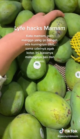 Trik simpel memilih buah mangga yang matangnya pas dan manis