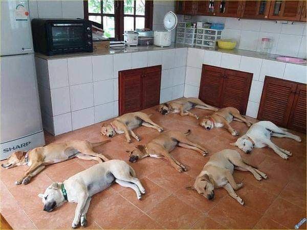 orang kelihatan tertib banget lucu © berbagai sumber