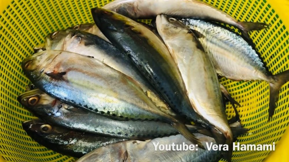 7 Cara membuat ikan peda sendiri tanpa pengawet, bisa buat stok