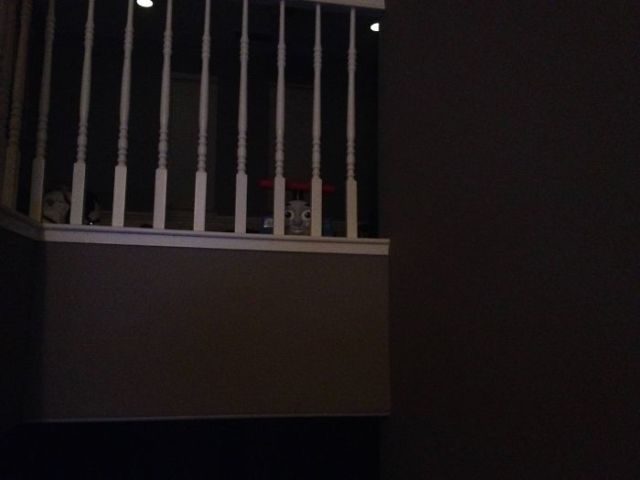 benda nongol tiba-tiba ngagetin © berbagai sumber