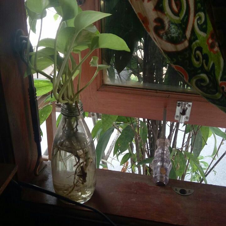 benda jadi ganjal jendela kocak © berbagai sumber