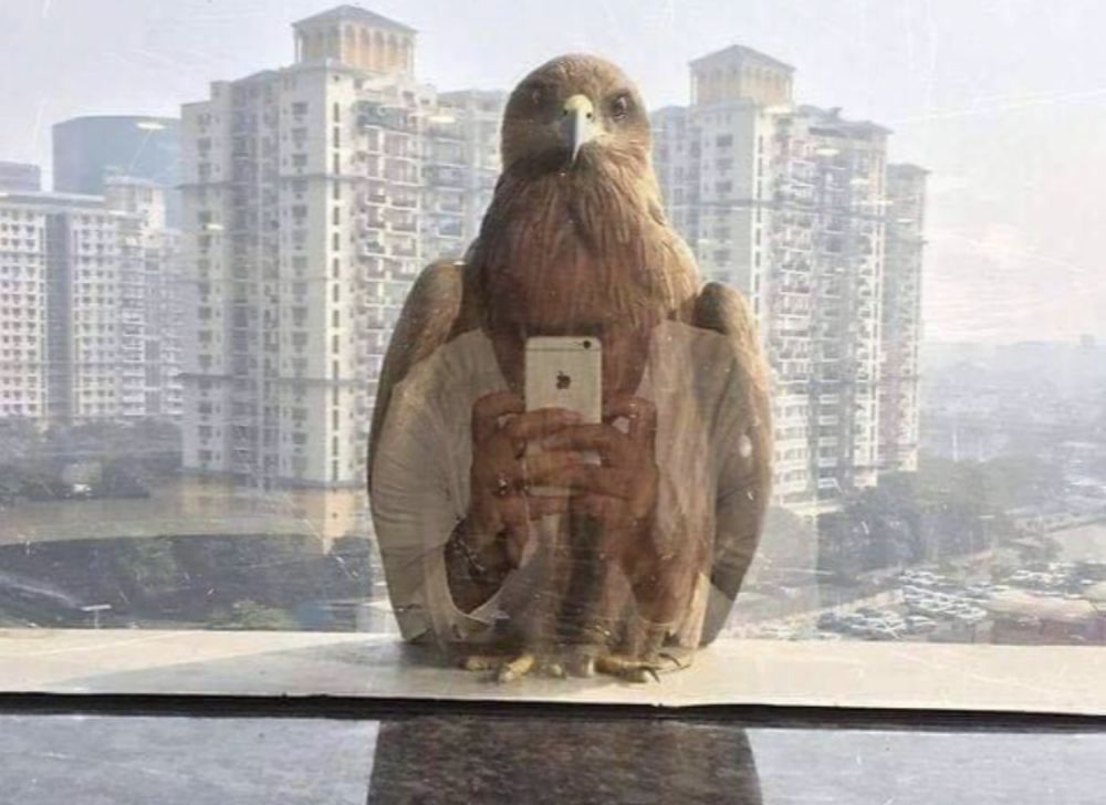 Penampakan lucu bikin terkecoh Berbagai sumber