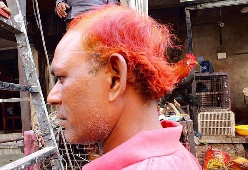 Penampakan lucu bikin terkecoh Berbagai sumber