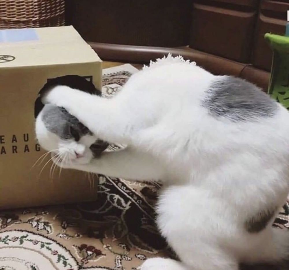 Penampakan lucu bikin terkecoh Berbagai sumber