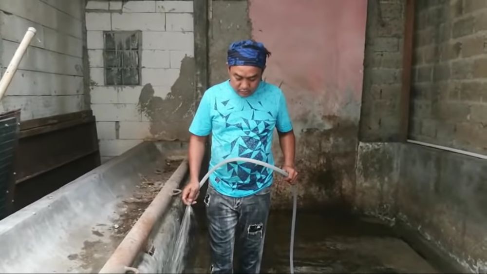 peternakan milik Azis Gagap © berbagai sumber