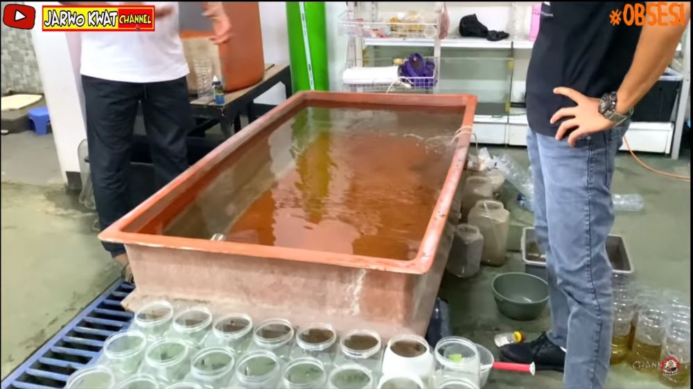 peternakan milik Azis Gagap © berbagai sumber