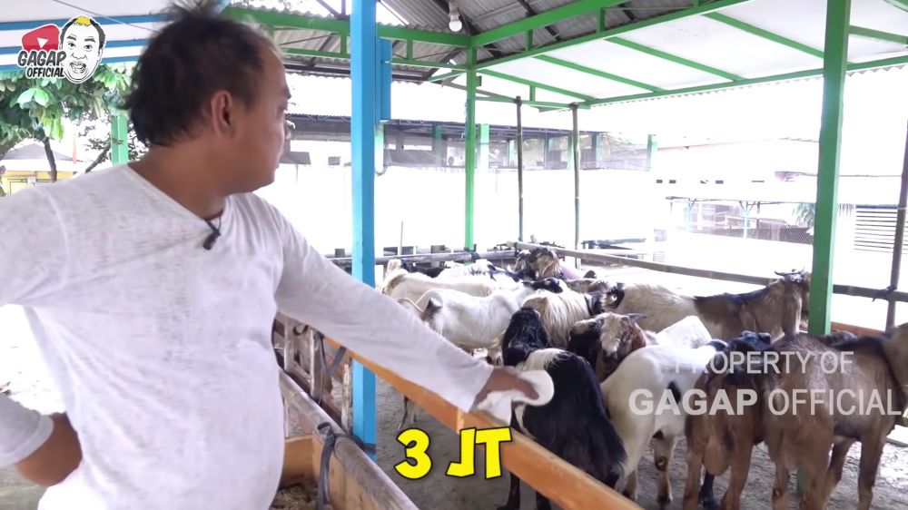 peternakan milik Azis Gagap © berbagai sumber
