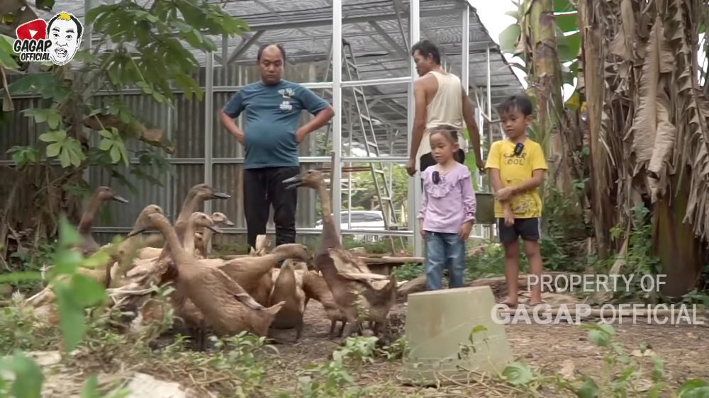 peternakan milik Azis Gagap © berbagai sumber