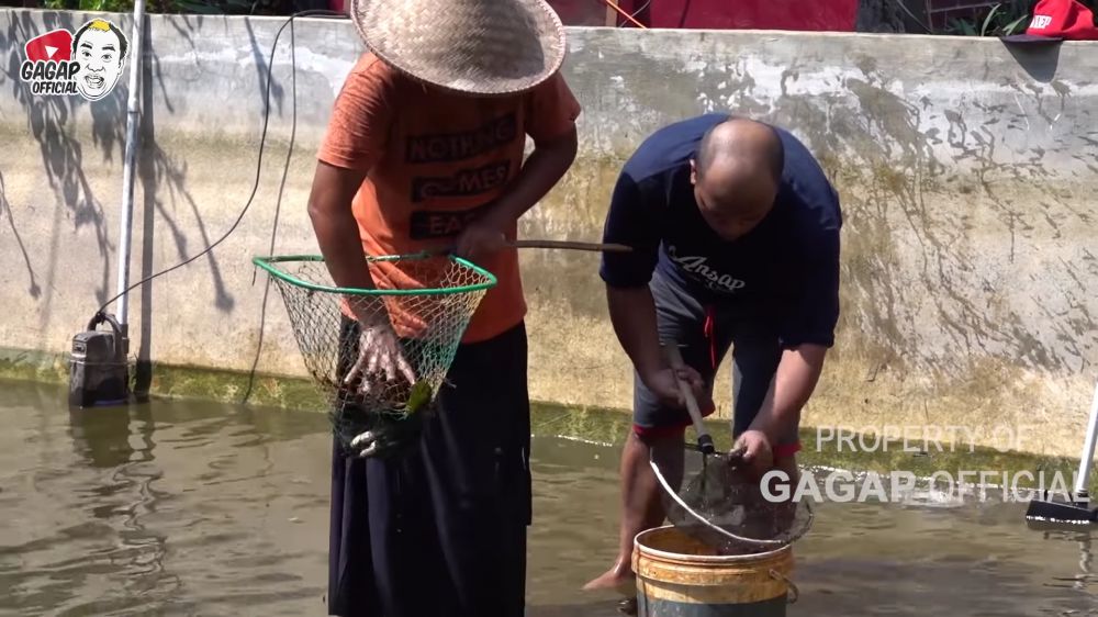 peternakan milik Azis Gagap © berbagai sumber