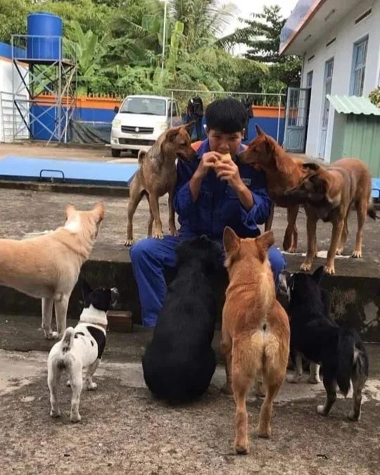 nyenengin hewan peliharaan nyeleneh deh © berbagai sumber