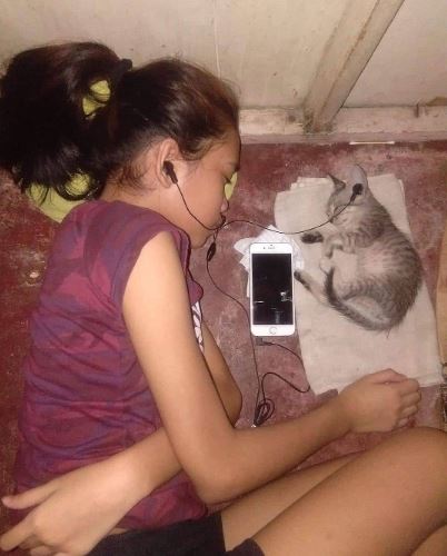 nyenengin hewan peliharaan nyeleneh deh © berbagai sumber