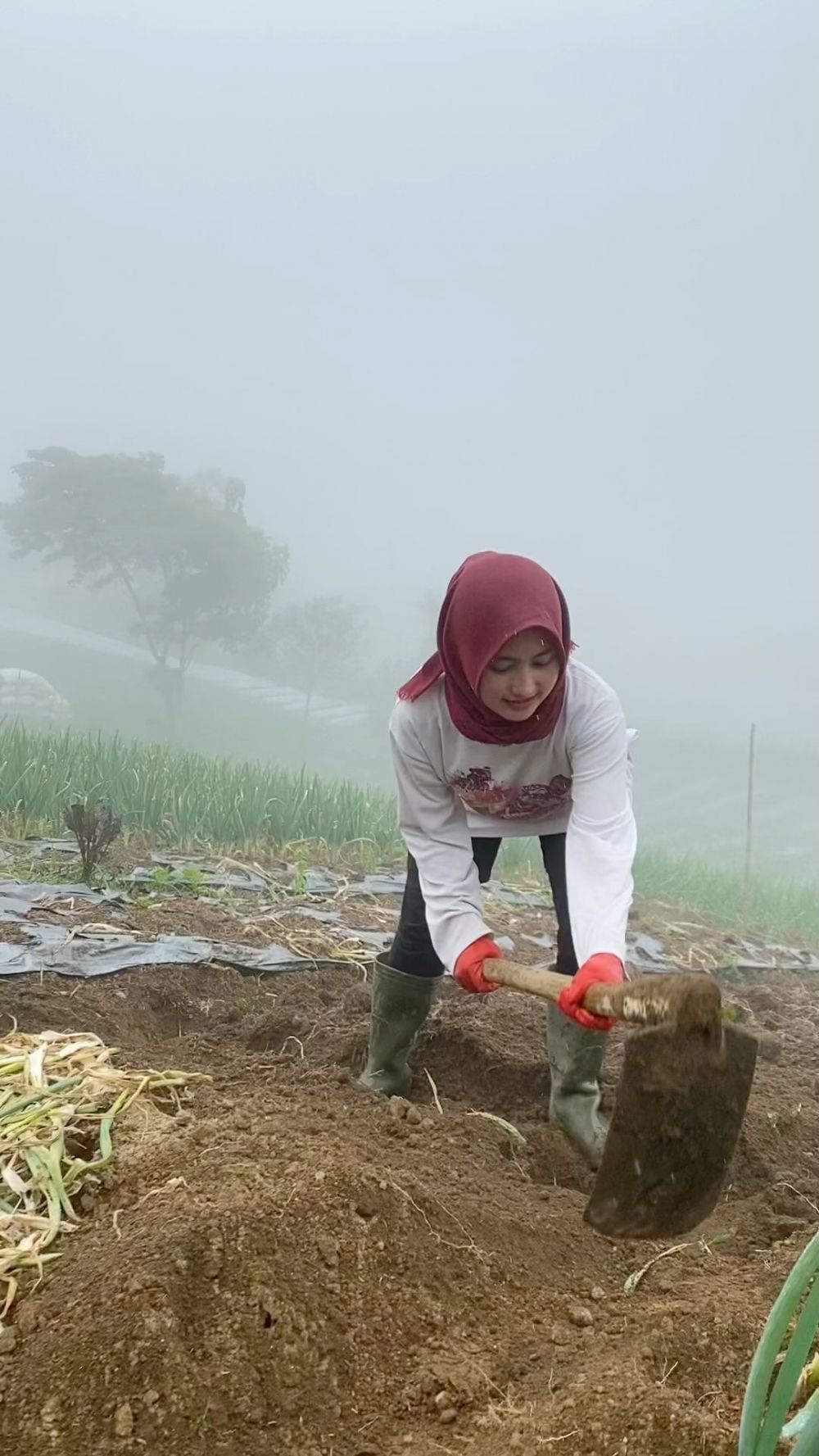 momen novi listiana bercocok tanam © Instagram