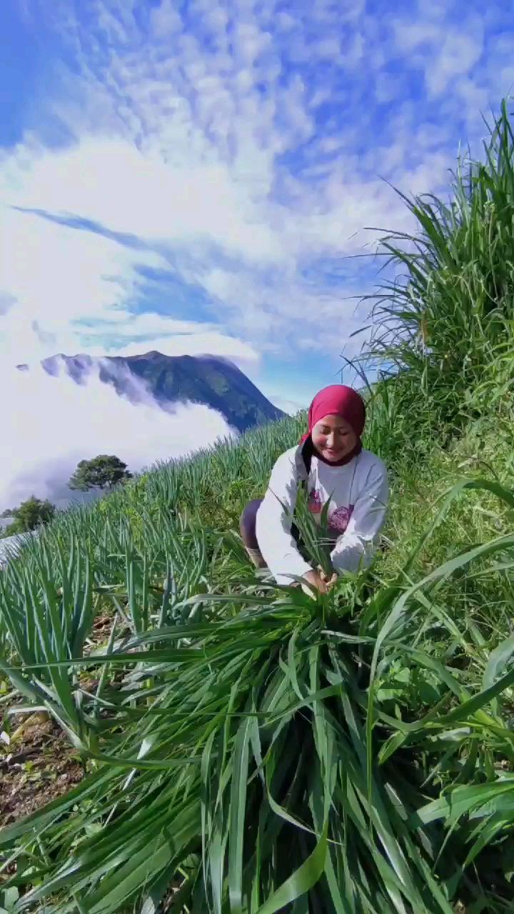 momen novi listiana bercocok tanam © Instagram