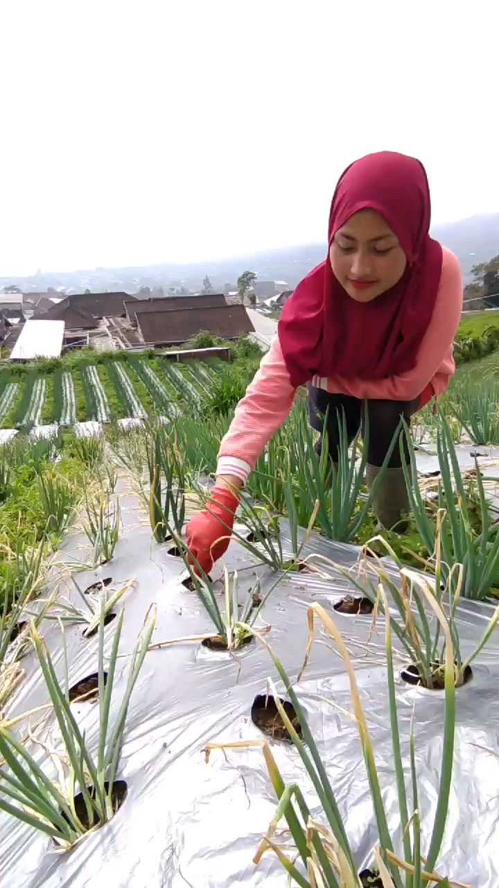 momen novi listiana bercocok tanam © Instagram