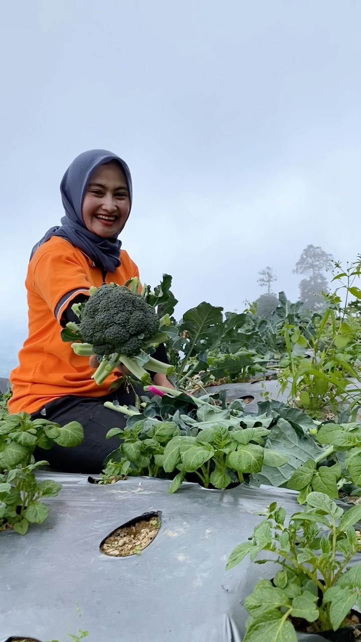 momen novi listiana bercocok tanam © Instagram