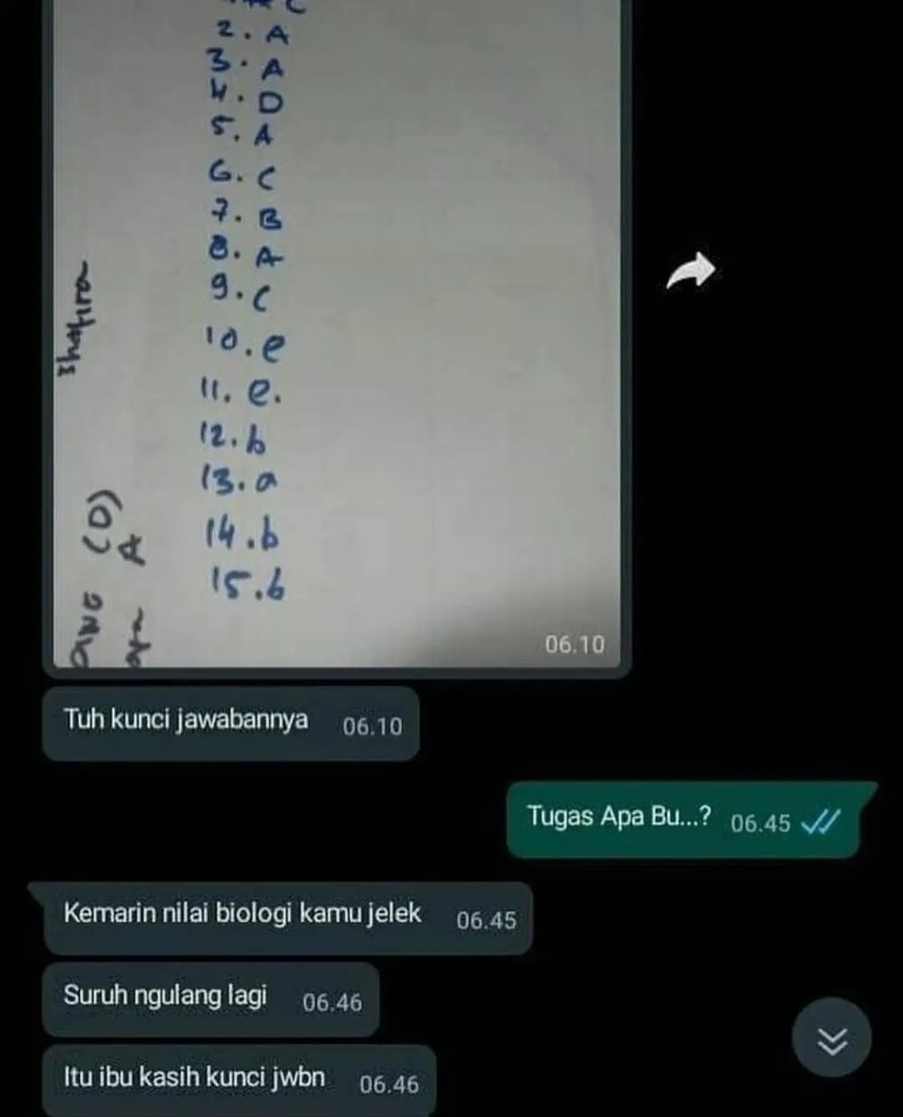 Chat WhatsApp bikin panik © berbagai sumber