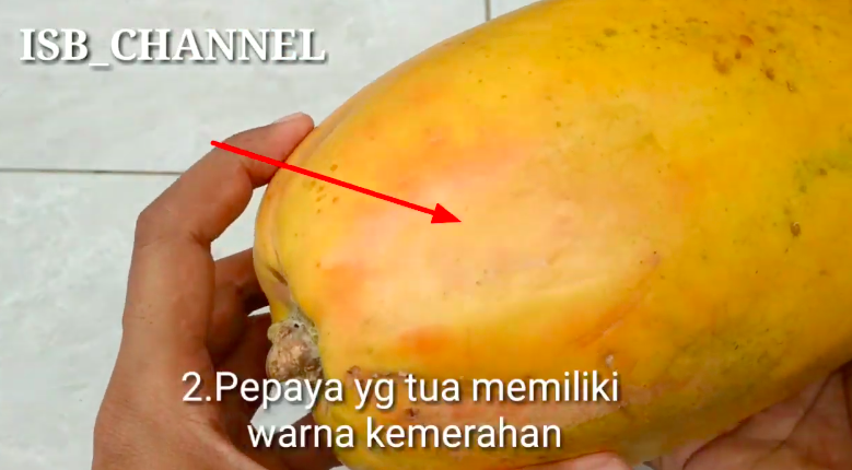 Tak banyak yang tahu, ini 5 trik memilih pepaya yang matang dan manis