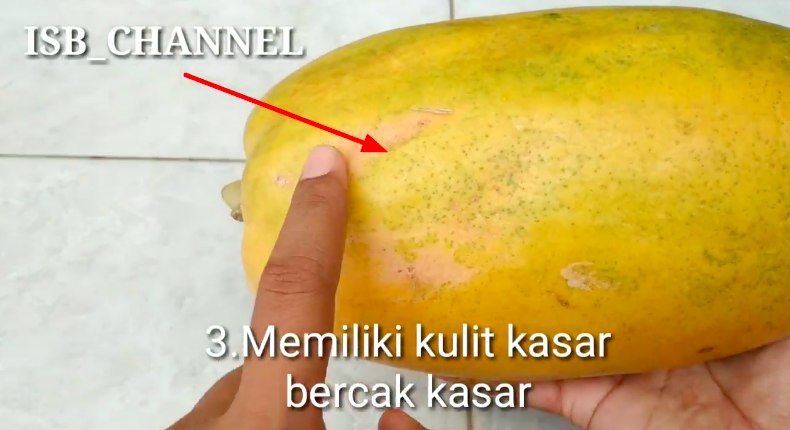 Tak banyak yang tahu, ini 5 trik memilih pepaya yang matang dan manis