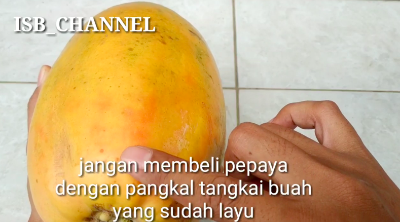 Tak banyak yang tahu, ini 5 trik memilih pepaya yang matang dan manis