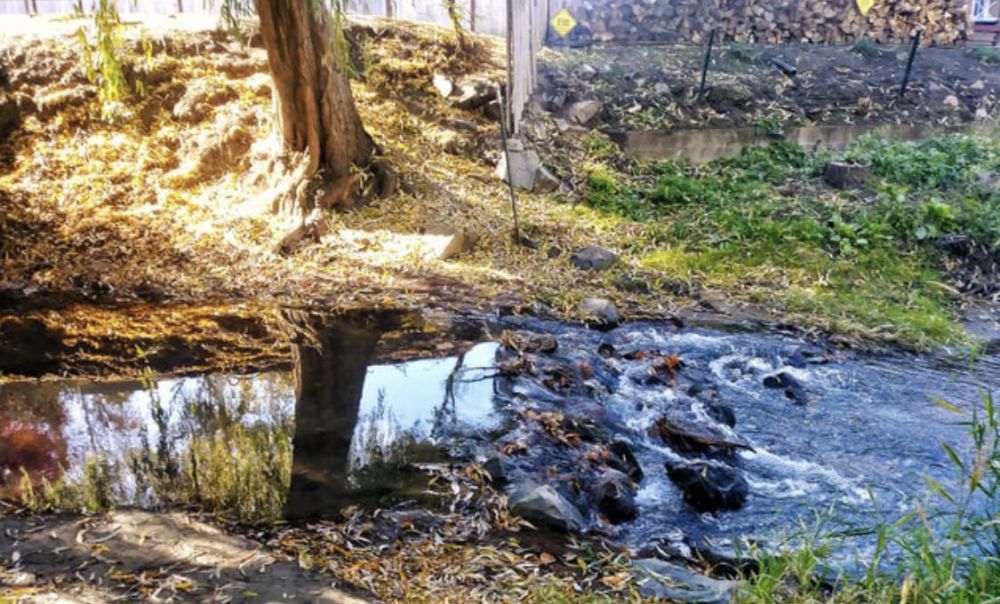 Potret menakjubkan dikira foto gabungan Berbagai sumber