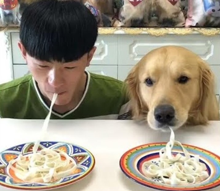 11 Potret lucu hewan doyan makan mi Berbagai sumber