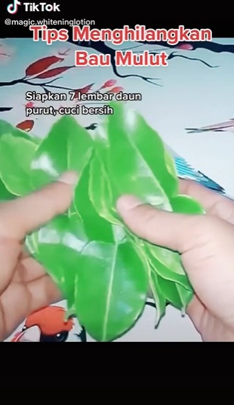 Cara simpel bikin obat kumur alami dari daun jeruk, atasi bau mulut