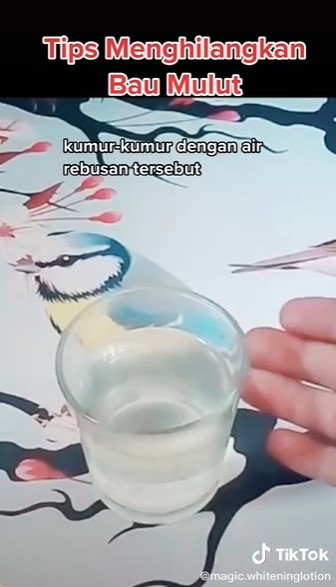 Cara simpel bikin obat kumur alami dari daun jeruk, atasi bau mulut