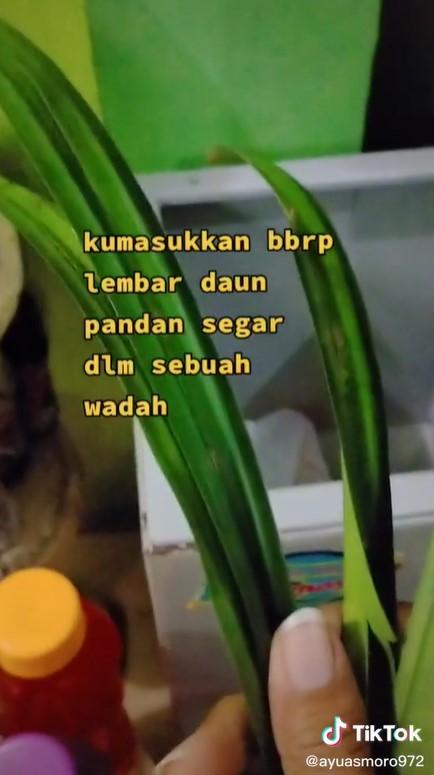 Agar awet dan bebas kutu, begini cara menyimpan kerupuk mentah