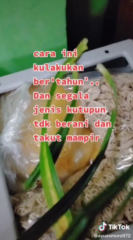 Agar awet dan bebas kutu, begini cara menyimpan kerupuk mentah