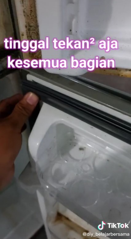 Bisa diganti sendiri, ini cara praktis mengganti karet kulkas di rumah