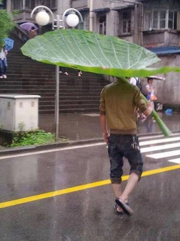 11 Potret nyeleneh orang saat hujan Berbagai sumber