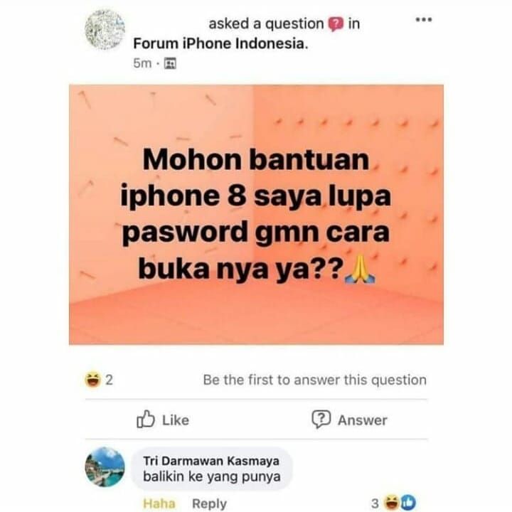 Balasan lucu di Facebook saat diminta saran © berbagai sumber