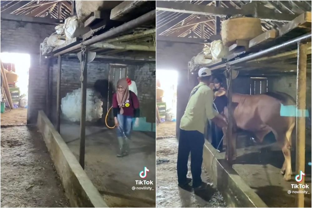 potret rumah novi listiana © berbagai sumber