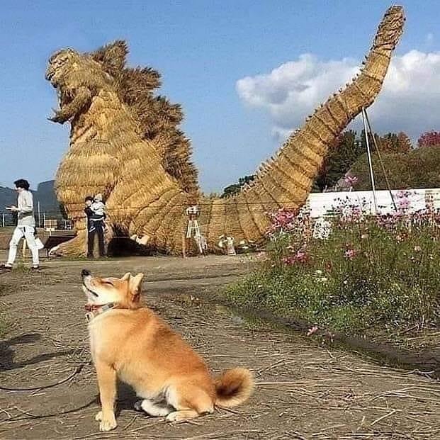 potret hewan tirukan benda di dekatnya © berbagai sumber