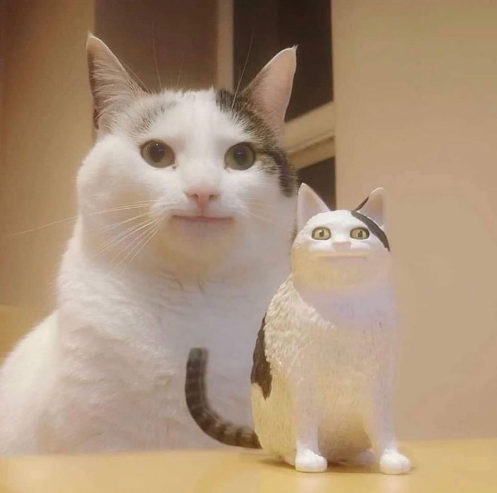 potret hewan tirukan benda di dekatnya © berbagai sumber