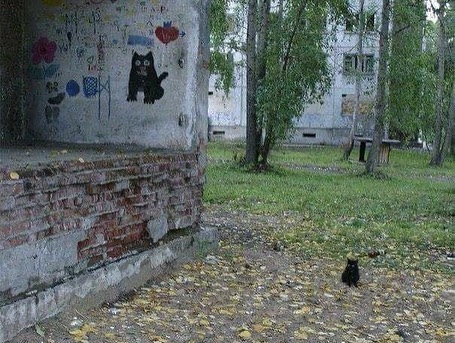 potret hewan tirukan benda di dekatnya © berbagai sumber