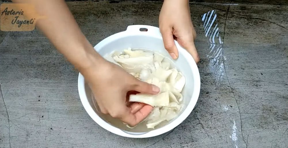 Jangan sampai salah, ini 5 cara bersihkan jamur tiram agar tidak bau