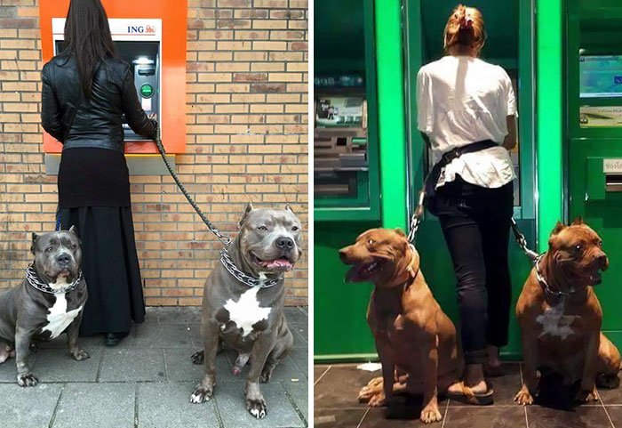 ambil duit di atm kocak © berbagai sumber