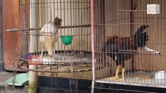 Penampakan rumah Angelina Sondakh © 2022 You Tube 