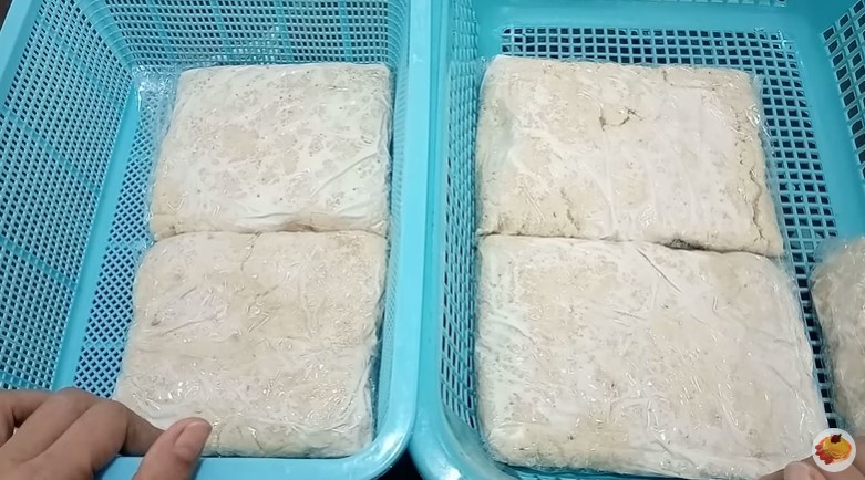 5 Cara praktis bikin tempe gembus sendiri di rumah, lebih sehat