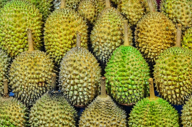10 Makanan dikonsumsi dan dihindari Brisia Jodie, jaga kulit sehat
