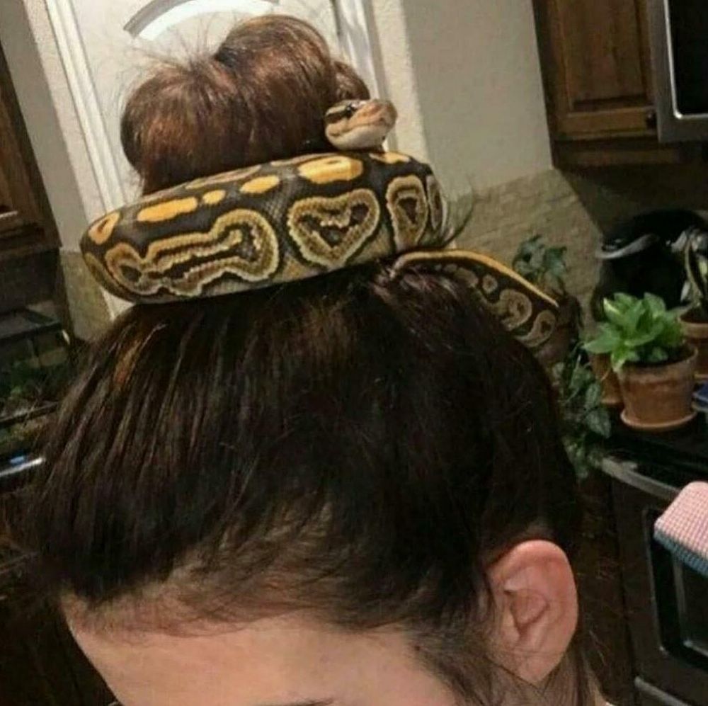 potret ikat rambut pakai benda tak biasa © berbagai sumber