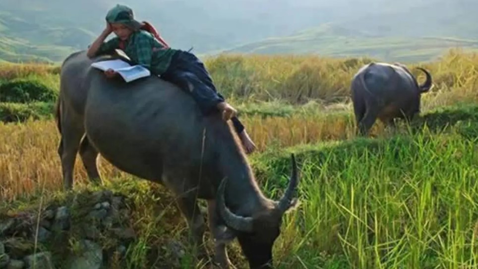 Gaya orang belajar ini nyeleneh abis © berbagai sumber