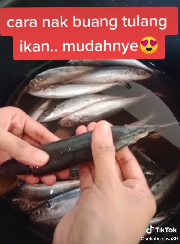 5 Cara simpel cabut tulang ikan dari dagingnya, tak perlu dibelah