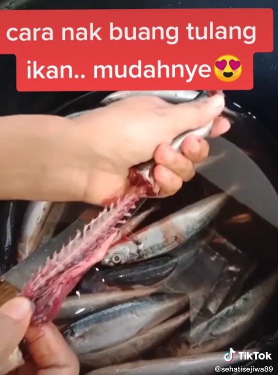 5 Cara simpel cabut tulang ikan dari dagingnya, tak perlu dibelah