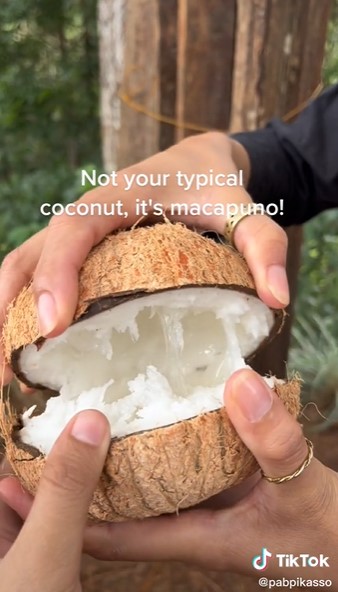 Jarang diketahui, begini bentuk isi kelapa kopyor asli