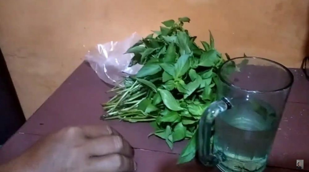 5 Cara menyimpan daun kemangi tanpa kulkas, tak layu hingga 5 hari