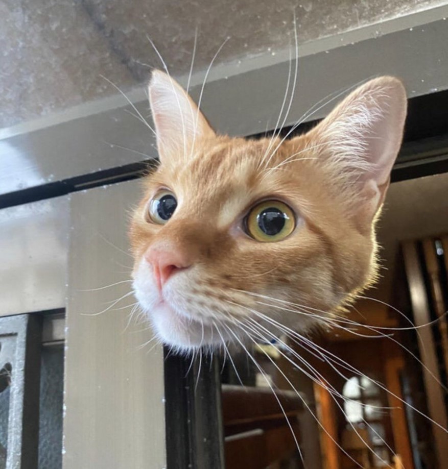 Objek seperti hilang sebagian Berbagai sumber